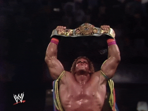random wrestling image